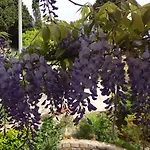 公寓 Stella - Parking *