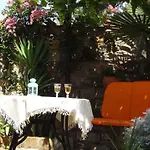 Stella - Parking * 皮兰