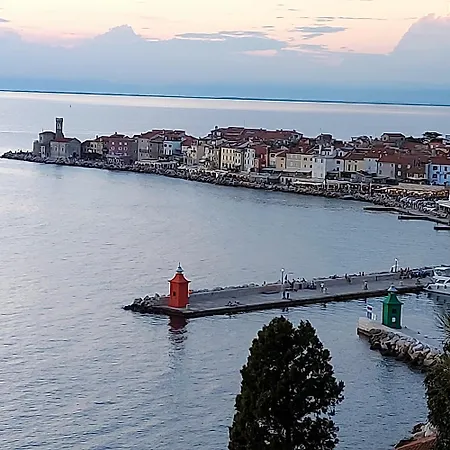 Stella - Parking Piran