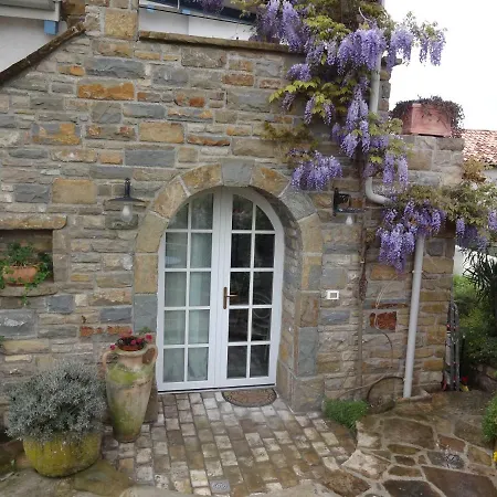 Stella - Parking Piran