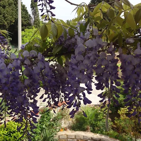 Apartman Stella - Parking *