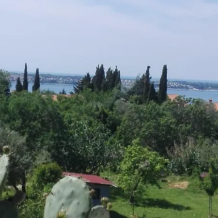 Stella - Parking Piran