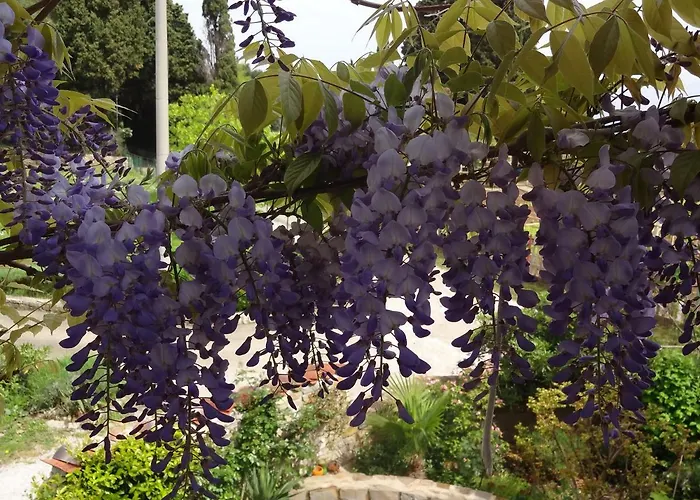 דירה Stella - Parking *